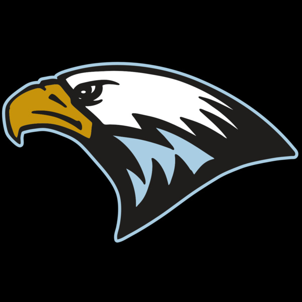 AR EAGLE 27 RC Thumbnail