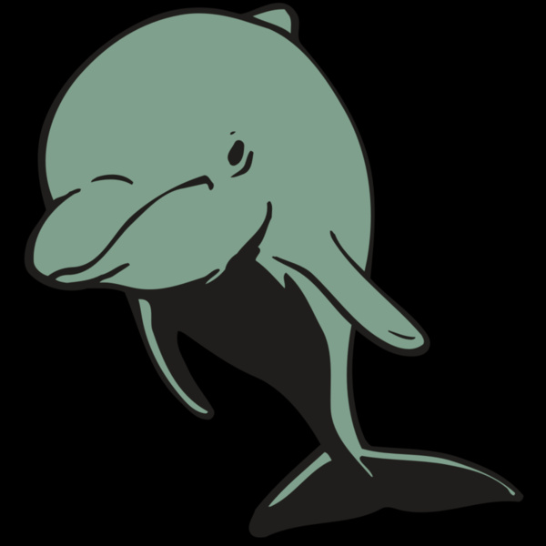 AR DOLPIN 11 RC Thumbnail