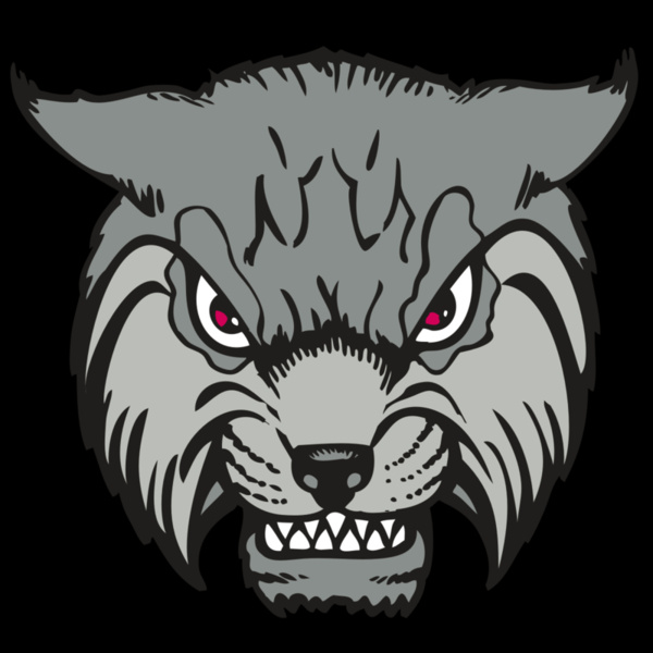 BAW BOBCAT 02 RC Thumbnail