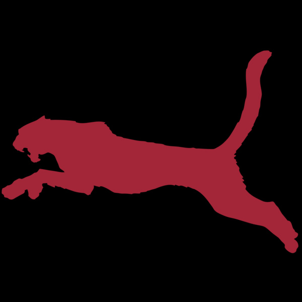 AR CHEETAH 11 RC Thumbnail