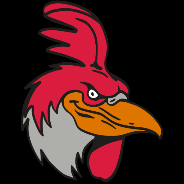 AR5 Gamecock 05 RQC Thumbnail