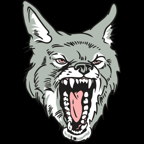 AR32 COYOTE 11 RQC Thumbnail