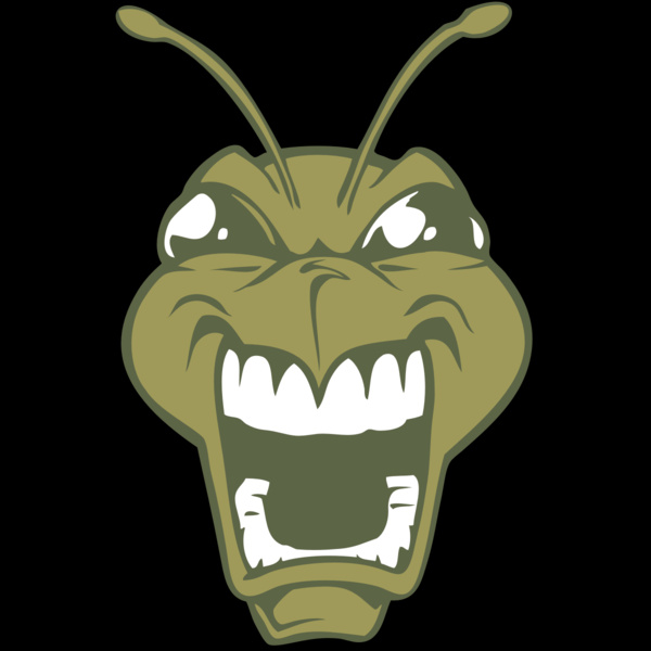 BAW BEE 13 RC Thumbnail