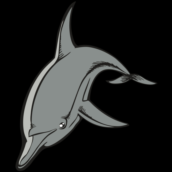 BAW DOLPHIN 03 RC Thumbnail