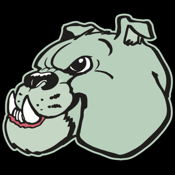 AR BDOG 29 RC Thumbnail