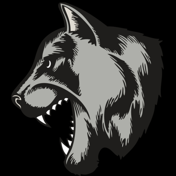 BAW COUG PANTH 06 RC Thumbnail