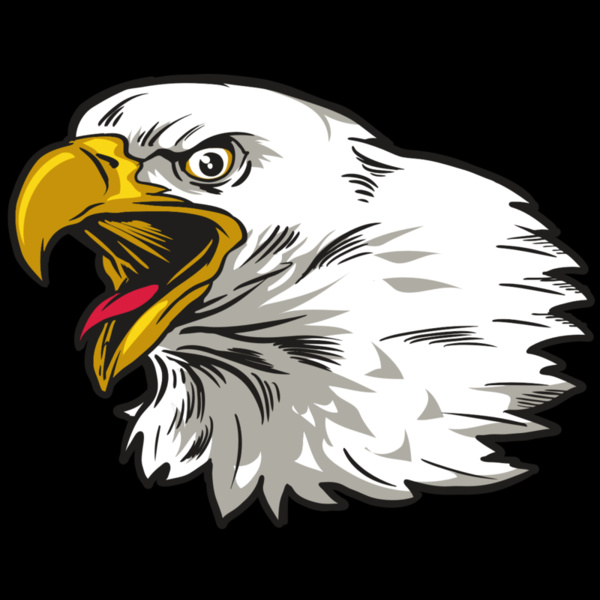 AR23 EAGLE 01 RQC Thumbnail