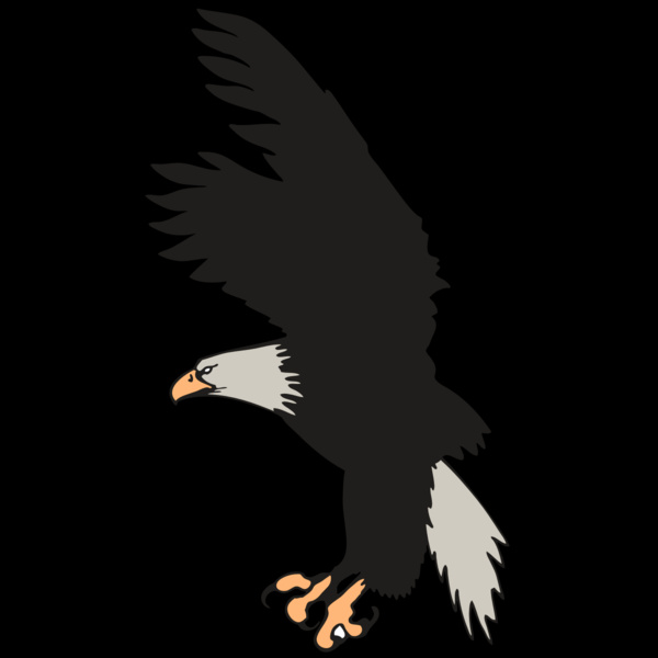 AR EAGLE 91 RC Thumbnail