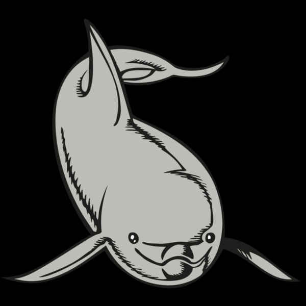 BAW DOLPHIN 02 RC Thumbnail