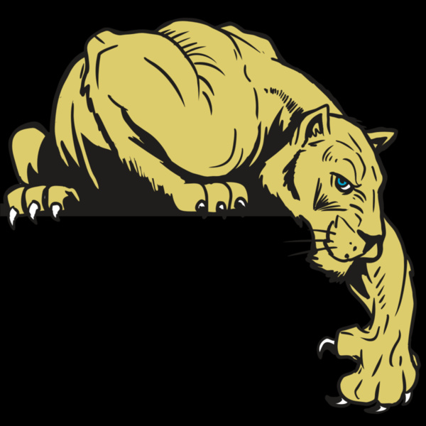 AR10 PANTHER 06 RQC Thumbnail