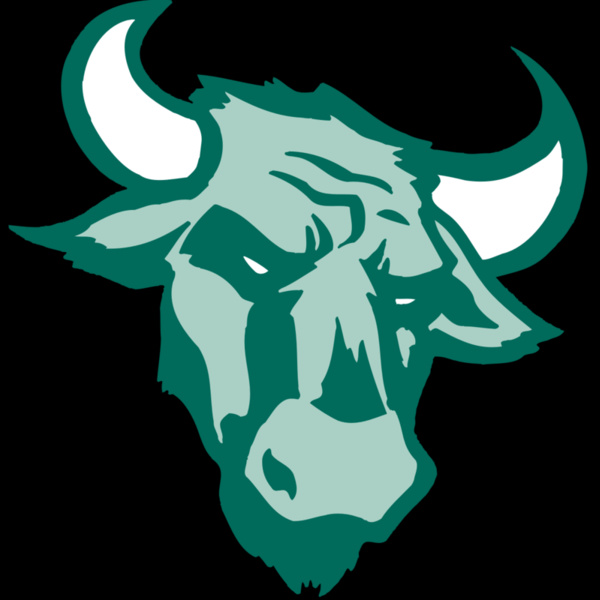 AR BULL 37 RC Thumbnail