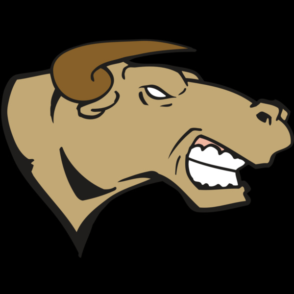 AR BULL 30 RC Thumbnail