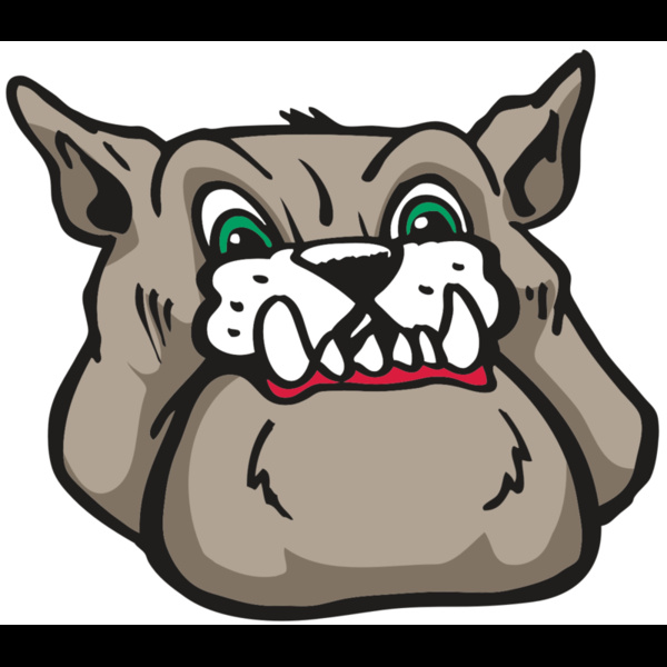 AR BDOG 27 RC Thumbnail