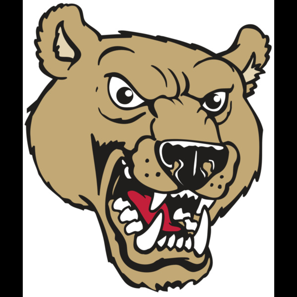 AR BEAR 09 RC Thumbnail