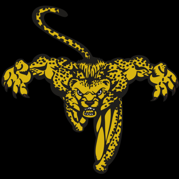 BAW CHEETAH 08 RC Thumbnail