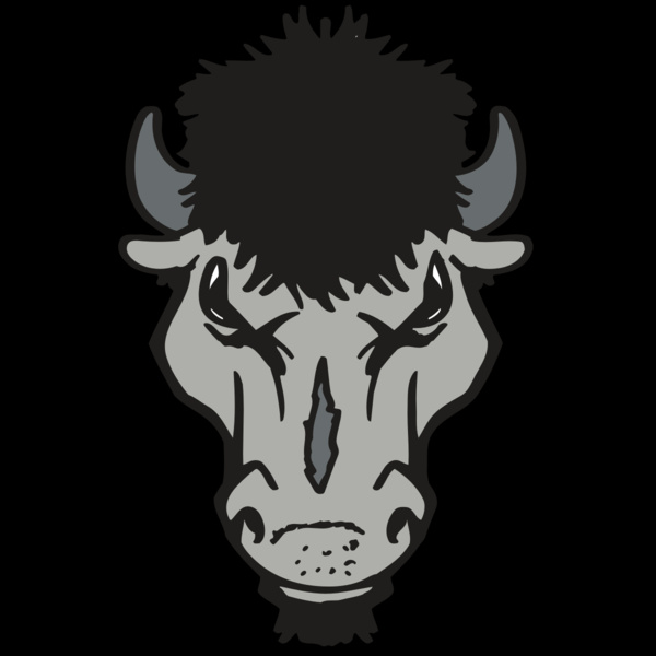 AR BUFFALO 15 RC Thumbnail