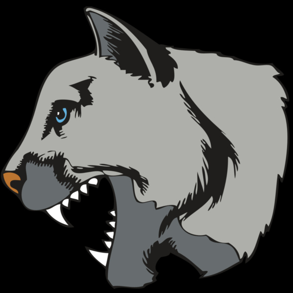 BAW COUG PANTH 15 R Thumbnail