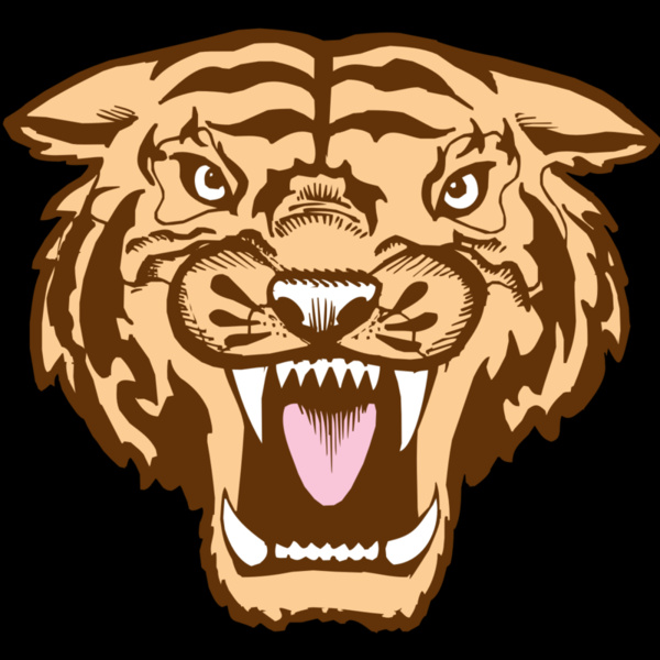 BAW TIGER 05 RC Thumbnail