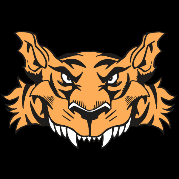 AR5 Tiger 07 RQC Thumbnail