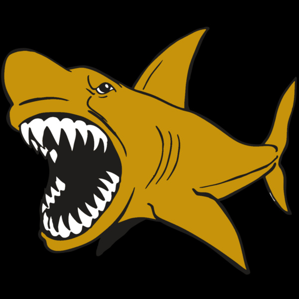 AR  SHARK 21 RC Thumbnail