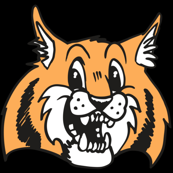 AR WILDCAT 13 RC Thumbnail