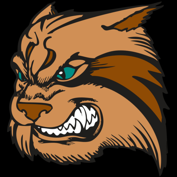 BAW WILDCAT 05 RC Thumbnail