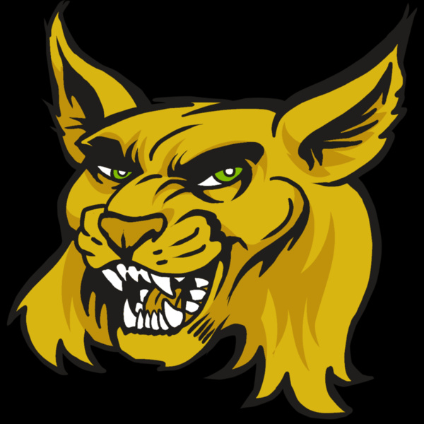 AR30 WILDCAT 03 RQC Thumbnail