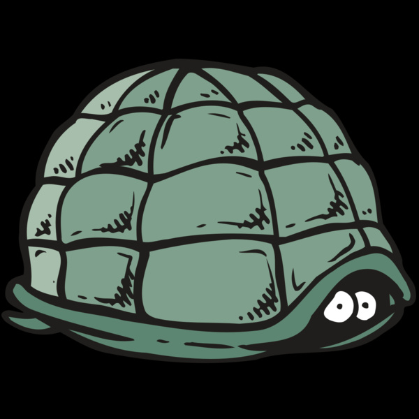 AR5 Turtle 10 RQC Thumbnail