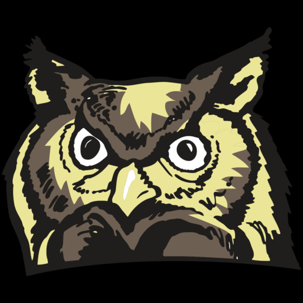 AR OWL 10 RC Thumbnail