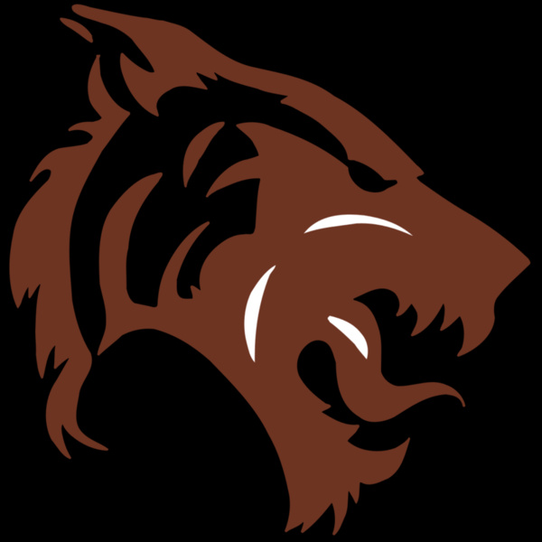 AR5 TIGER 06 RQC Thumbnail