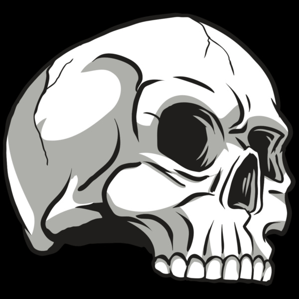 AR24 SKULL 10 RQC Thumbnail