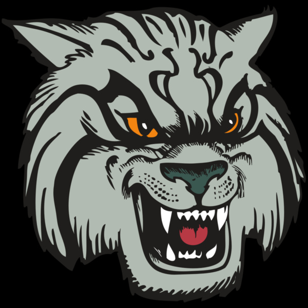 BAW WILDCAT 03 RC Thumbnail