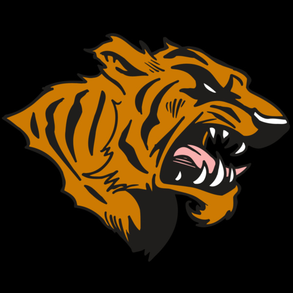 AR5 TIGER 08 RQC Thumbnail