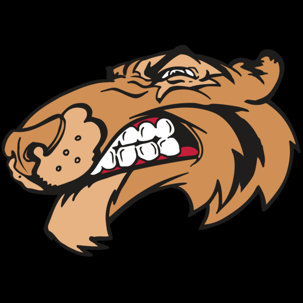 AR5 Tiger 13 RQC Thumbnail