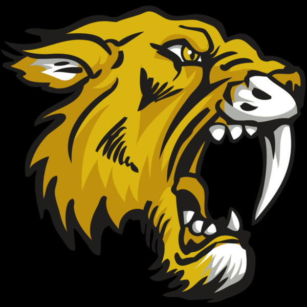 AR30 SABER 03 RQC Thumbnail